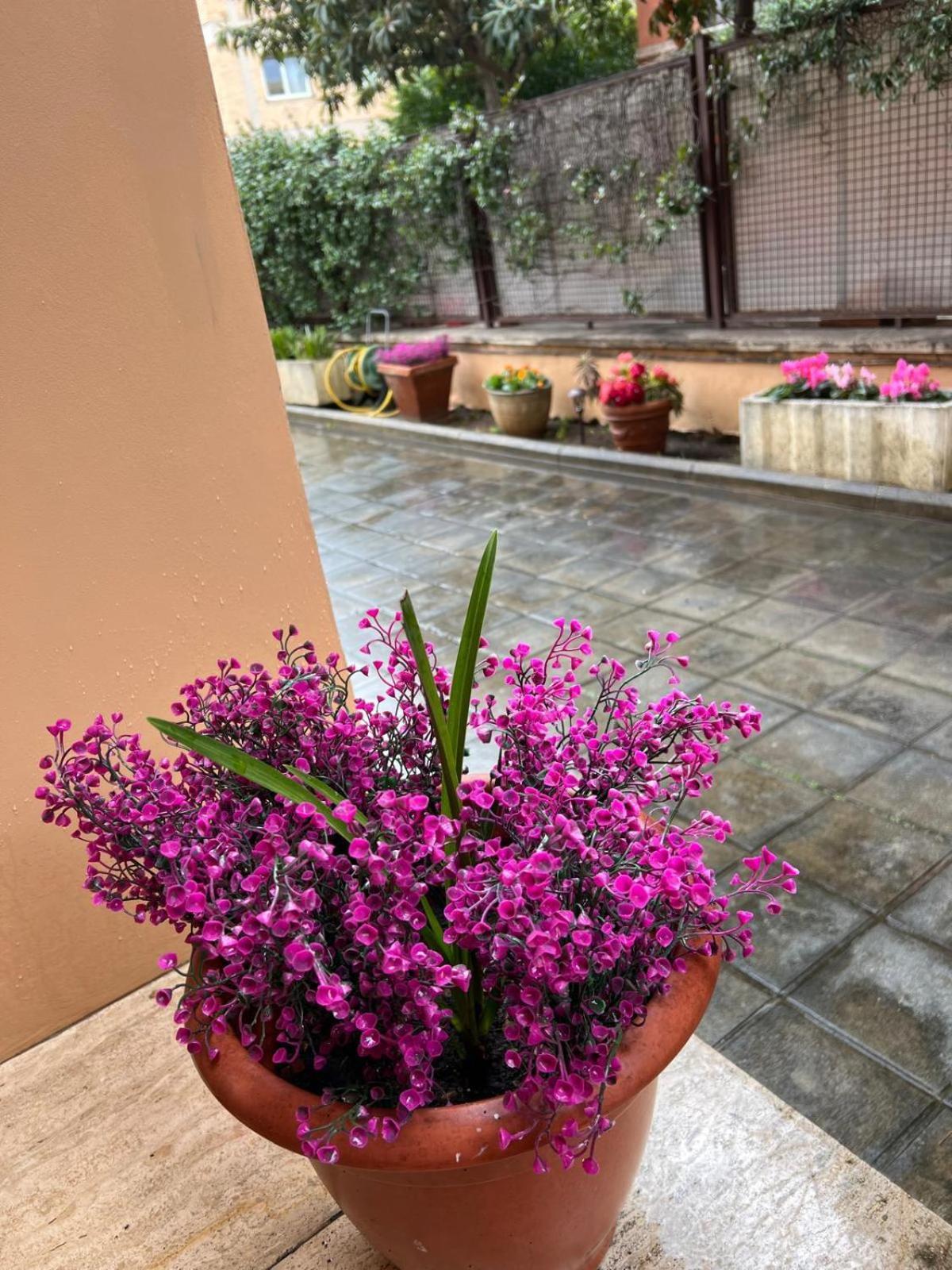 Dei Fiori Rom