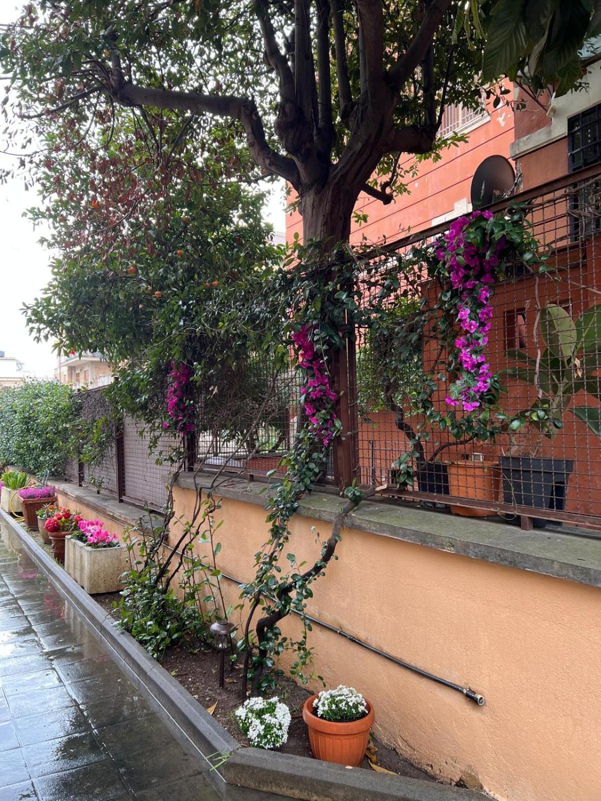 Dei Fiori * Rom
