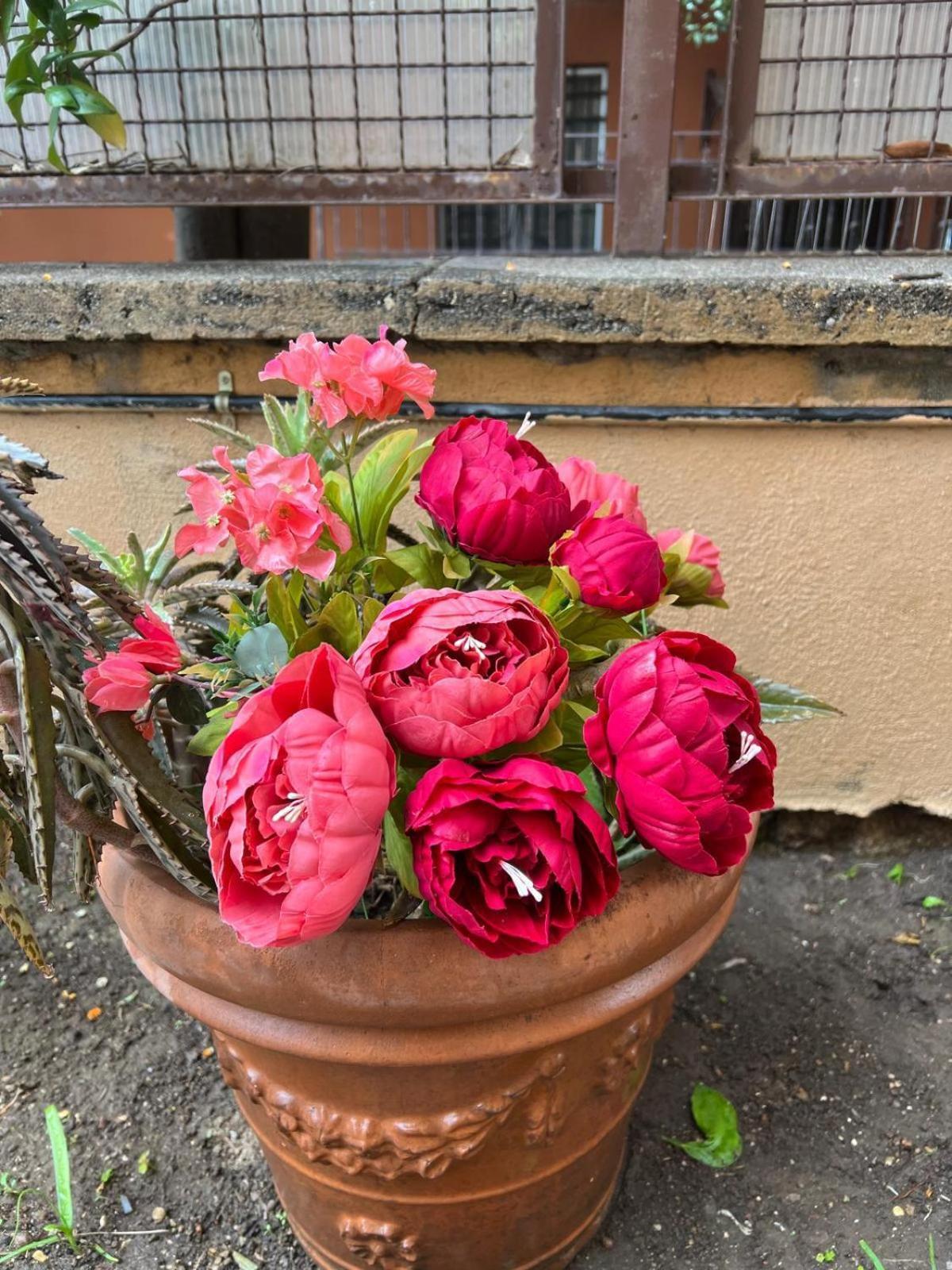 Dei Fiori
